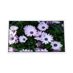 VS055QHM-NR0-69P0 New Original 5.5 inch 2560*1440 LCD Display Screen for sale