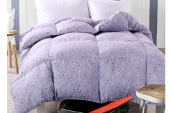 China Home 300T Satin 250g/M2 Duck Down Duvet supplier