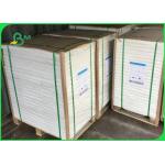 FSC C1S Ivory Board Poly Coated Paper 300gsm + 15g PE 70 X 100cm For Cup Making for sale
