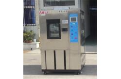 China AC220V Single Phase Power Temperature Humidity Environmental Chamber For Lab Testing supplier