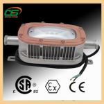 IP65 Cree ATEX LED 6500K Explosion Proof Light 30W Super Bright With 3000 Lumen for sale