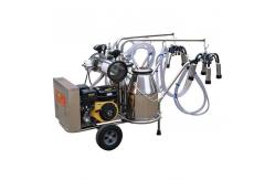 China 10-12 Cows/H Camel Goat Cow Milking Machine Electric Powered supplier