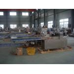 220V 2kw Laundry Detergent Tablet Packing Machine for sale