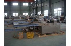 China 220V 2kw Laundry Detergent Tablet Packing Machine supplier