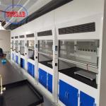 1200m3/h Exhaust Volume Laboarotory Fume Chamber With Horizontal Airflow for sale