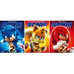 3d Flip Lenticular Anime Poster Custom Lenticular Printing Poster 3D Picture