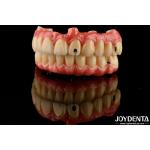 Excellent Elasticity Dental Acrylic Denture Finish with Lightweight Property for sale