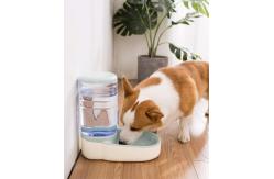 China Automatic Dog Food Feeder For Small / Medium Pet Puppy Kitten supplier