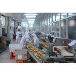 Full Automatic Sugar Cone Making Machine With Customized Shape