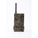 2.4 inch LCD IP54 Wireless Trail Camera Wildlife CE RosH FCC Certificated