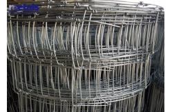 China Galvanized Field Wire Mesh screen Fence Hinged Knot For Cattle 50m supplier