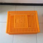 Broiler Poultry Carrier Crate Farming Plastic Agricultural Crates for sale