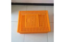 China Broiler Poultry Carrier Crate Farming Plastic Agricultural Crates supplier