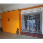 Customized Barite Concrete Shielding Radiation Protection Door With Rollers