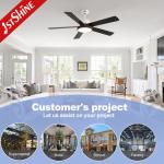 Modern Ceiling Fan Light With Dc Motor Smart Dimmable LED Light
