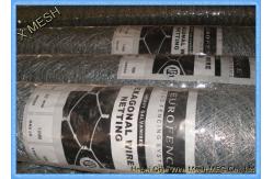China Pvc Galvanized 0.6mm Dia Hexagonal Chicken Wire Mesh 3/4 Inch Openning supplier