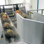 380V 50Hz Pineapple Processing Line For Concentrated Juice for sale