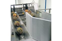 China Automatic 380V Mango Processing Line Industrial Juice Making Machine supplier