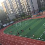Waterproof 13mm Synthetic Rubber Flooring Outdoor Running Track Red Blue Green for sale