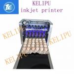 Egg Inkjet Coding Equipment / Continuous Ink System Printer With Six 45ML Ink for sale