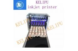 China Egg Inkjet Coding Equipment / Continuous Ink System Printer With Six 45ML Ink supplier