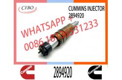 China Diesel Common Rail Fuel Injector 2872405 2894920 2872544 2086663 supplier
