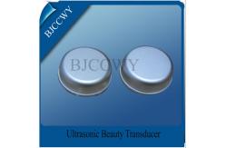 China Piezoelectric Ultrasonic Beauty Transducer High Temperature Ultrasonic Transducer supplier