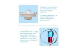China Residential Electricity Hybrid Generator In Renewable Hybrid Power System supplier