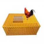 10 Chicken Plastic 12.25 Inches Detachable Poultry Transport Cage for sale