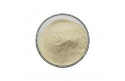 China 10-HDA 5.5% Lyophilized Royal Jelly Powder For Human Consumption supplier