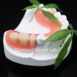 High Esthetics Dentsply Lucitone 199 Acrylic Denture acrylic resin for dentures China Dental lab for sale