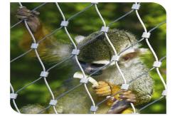 China Hand Woven Stainless Steel Cable Netting Wire Mesh Monkey Enclosure SGS Certified supplier