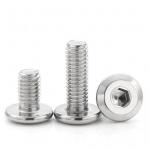 Stainless Steel Hexagon Socket Screw DIN BS JIS ISO Flat Head Screw for sale