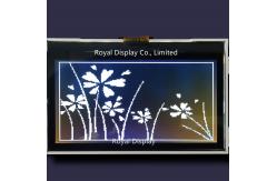 China 1/10 Bias FSTN COG Graphic LCD Display 192X64 Transflective Positive supplier