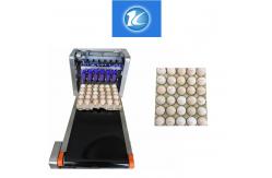 China Computer Control Date Coding Printer With Special Shuttle Transmission Device supplier