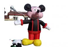 China 3D Advertising Inflatable Balloon Animal Custom Inflatable Mascot supplier