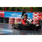 Cammus High Torque Electric Racing Go Kart with Max Speed 50km/H for sale