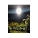 5m 16ft HMI Film Lighting Balloons 2.4kW 4kW 5kW 8kW for sale