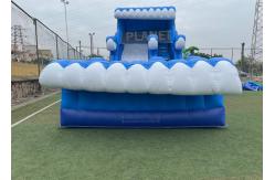 China 0.55mm PVC Backyard 15ft Inflatable Water Slides With Pool supplier