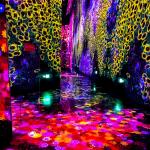 Interactive Experience Naked Eye Virtual 3d Indoor Immersive Exhibition for sale