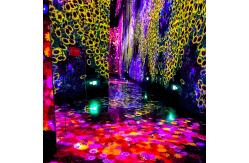 China Multiple Channels Immersive Room Projector Immersive Wall Interactive Projection supplier