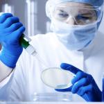 ISO14001 6Mil Nitrile Medical Examination Gloves Disposable Safety Gloves for sale