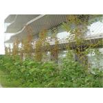 Knotted Stainless Steel Cable Trellis , Cable Wire Mesh For Green Wall for sale
