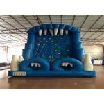 Blue Rock Climbing Bounce House 6 X 4m Commercial Inflatable Ladder Climb for sale