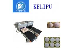 China Clear Egg Inkjet Coding Printer With Unique Spray Hole Alignment Function supplier