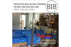 China Spoutless Carton Liner Bag in Box Filling and Packaging Line for Fluids supplier