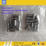 Original  Roller set  0750119100 ,  ZF gearbox spare parts for ZF transmission 4WG200 for sale