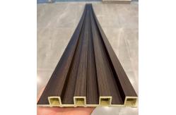 China 160x24mm  Interior WPC Wall Panel supplier
