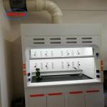 Wall Mounted Laboratory Fume Hood With Scrubber Tank Low Noise Horizontal Airflow for sale