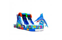 China Ocean Amusement Parks  And Backyard Parties Inflatable Slides supplier